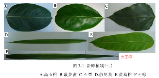 完美配合呈现精彩节目