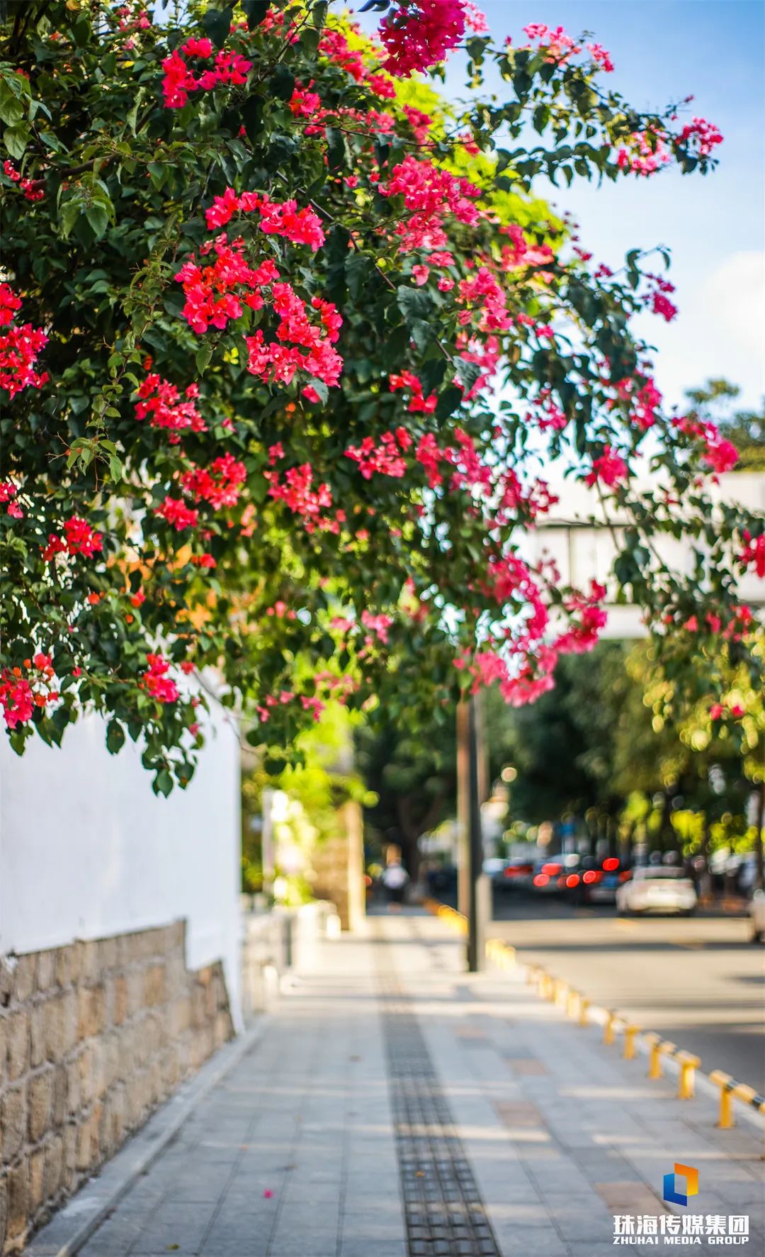 上海十大旅游景点排名（上海的旅游景点排名）