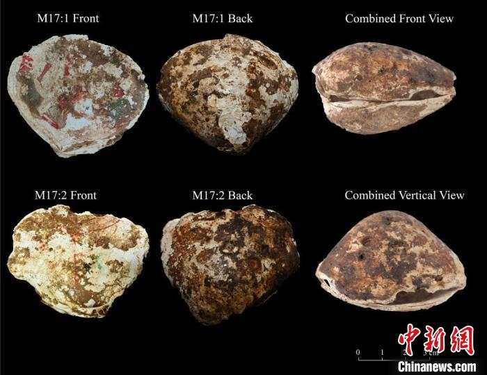 天津财经大学在天津排名（天津财经大学在中国排名）