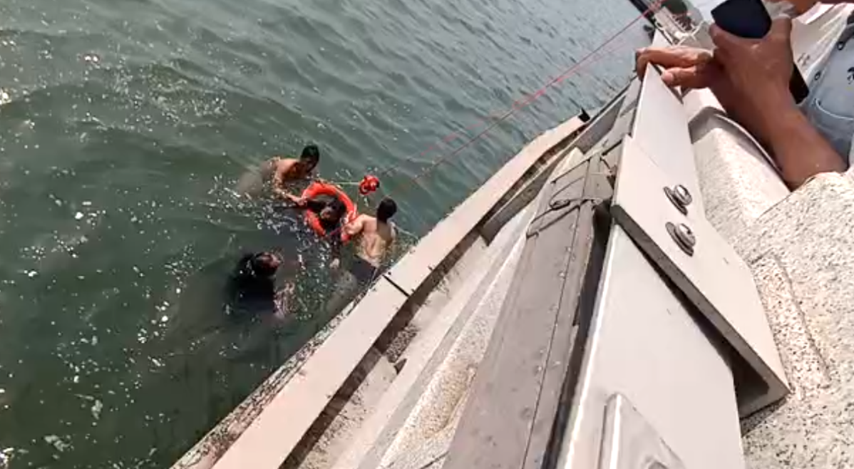 上海海洋馆门票多少钱一张（上海海洋水族馆门票多少钱一张）