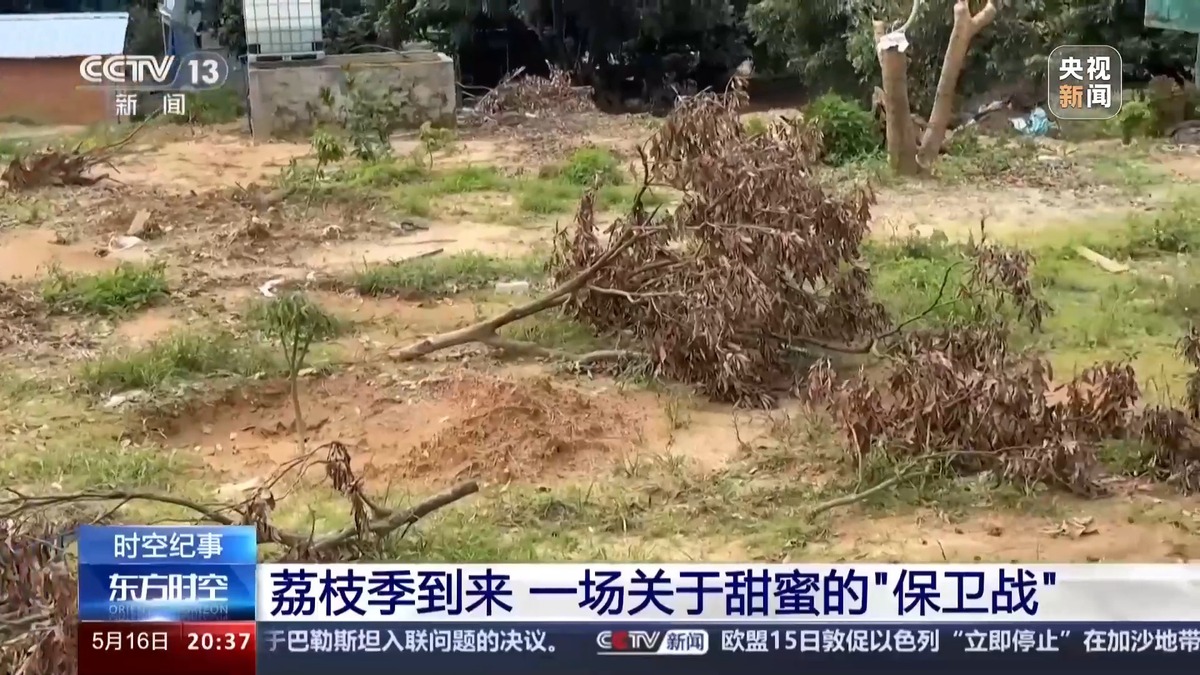 雨量监测设备（雨量监测设备施工）