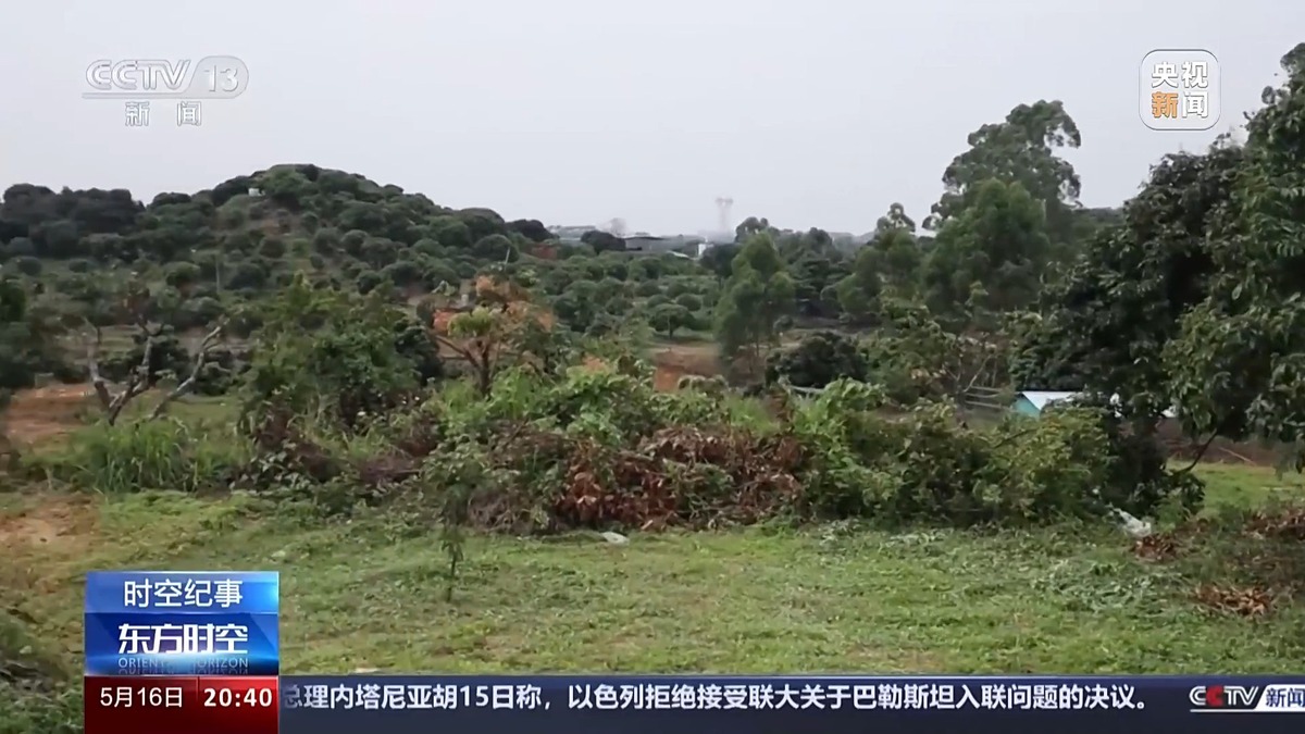 上海闵行区兼职男模（上海闵行男模）