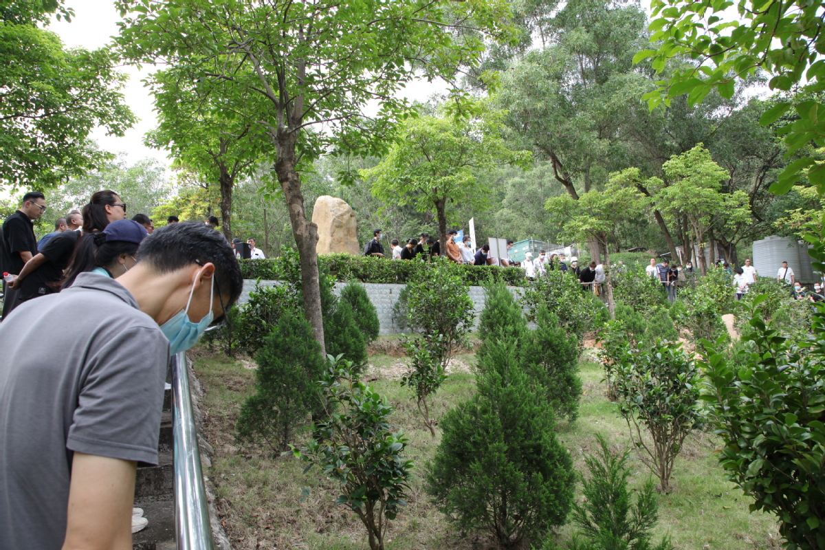 闵行区上海民宿（闵行区民宿住宿）