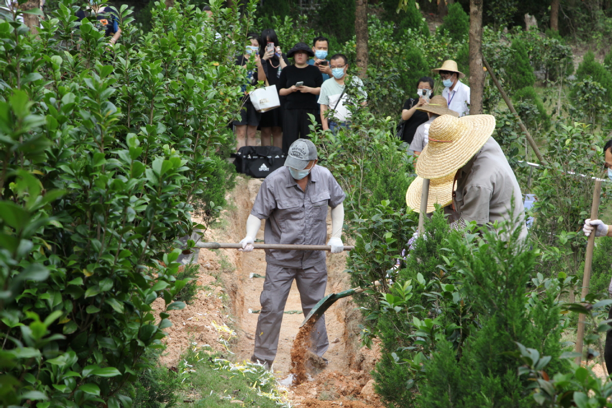 重庆到西双版纳跟团游价格（重庆到西双版纳跟团自由行价格）