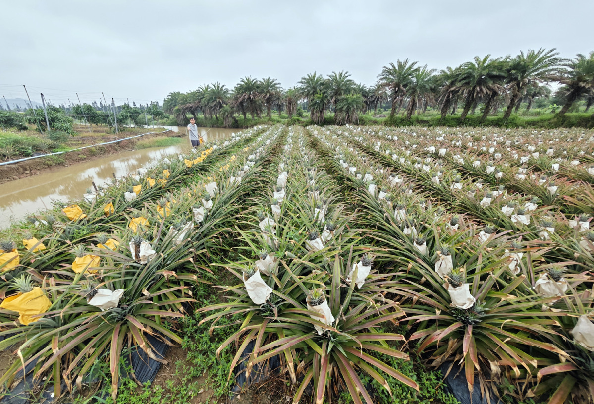 闵行区上海招牌工厂（闵行区上海招牌厂家）