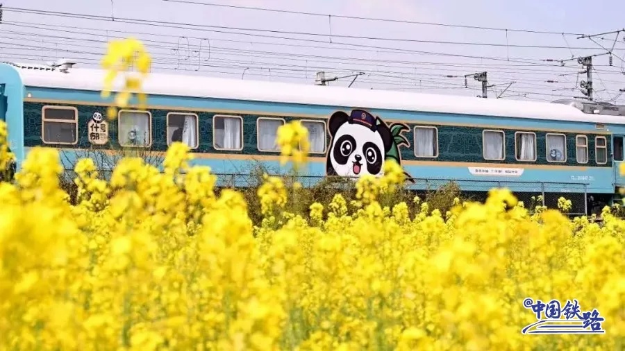 上海大柏树医院门诊部（上海大柏树医院）