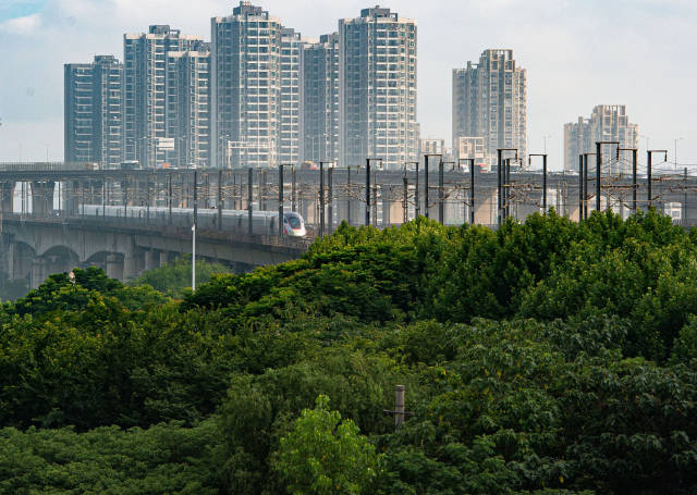 上海地铁查询路线查询（上海地铁怎么查询路线）