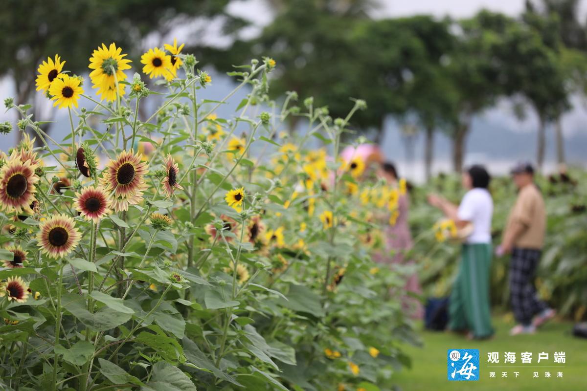 重庆职高学校排名（重庆市职高学校排名榜）