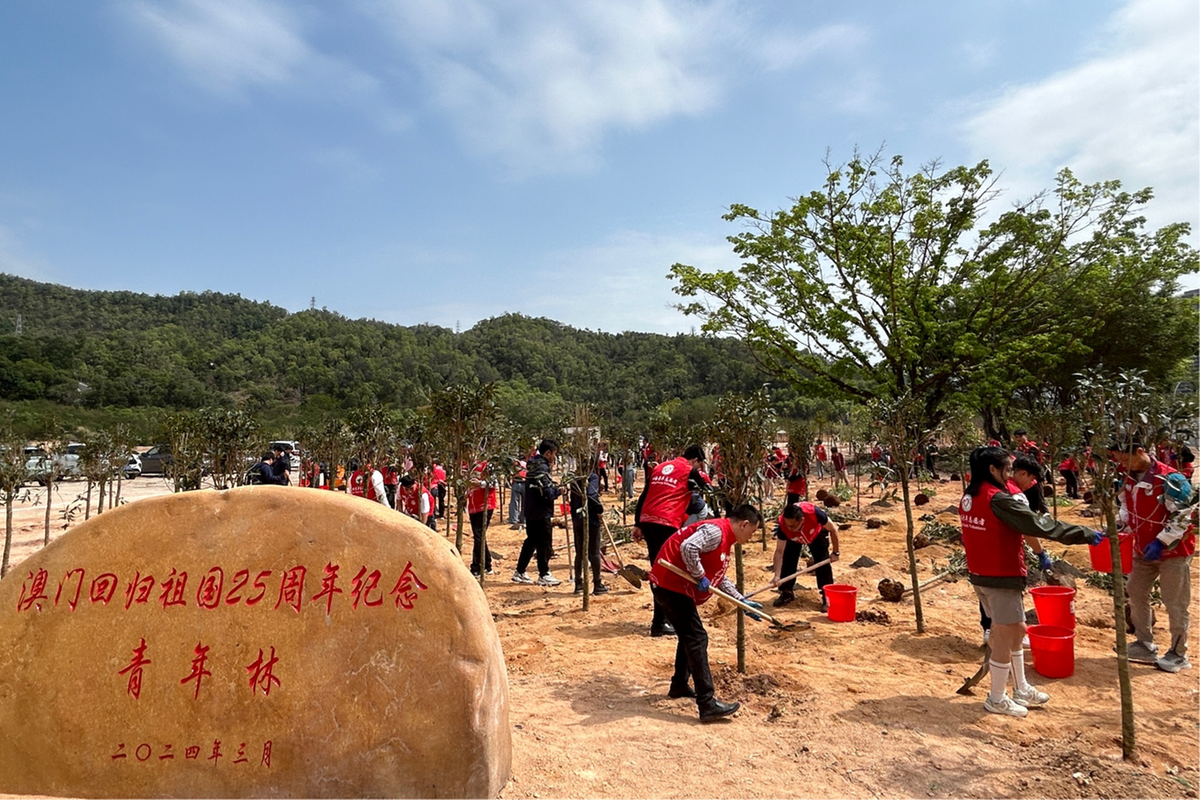 上海闵行区光合商城（上海闵行区仲盛世界商城）