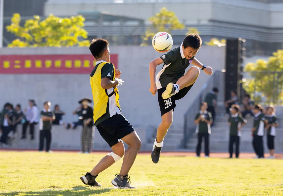 上海民办中学闵行区（上海正规的民办中学）