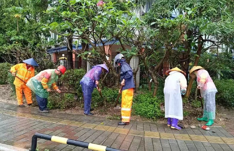 上海闵行区洗钱案判决（上海高院洗钱案）