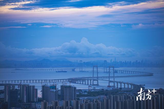 上海到厦门跟团游价钱（上海到厦门四天三晚跟团游）