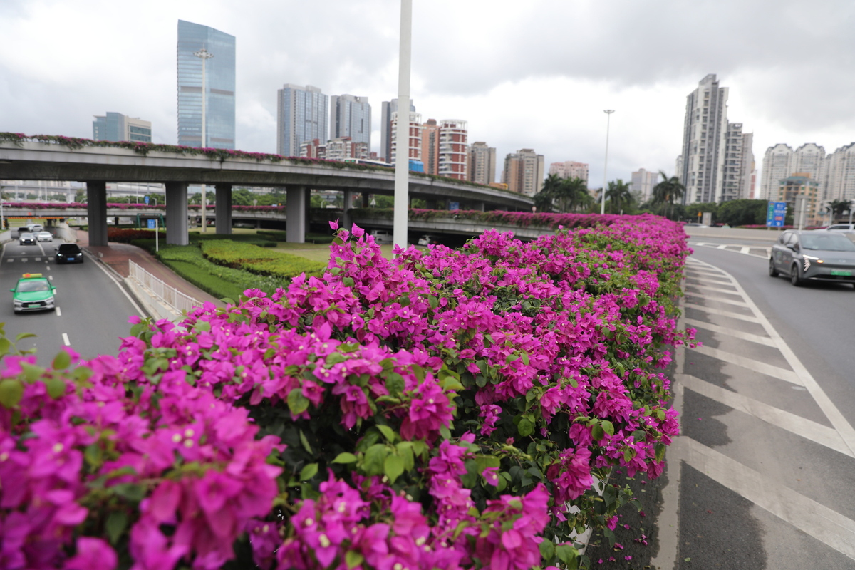 上海玩儿的地方有哪些景点（上海有哪些好玩休闲景点）