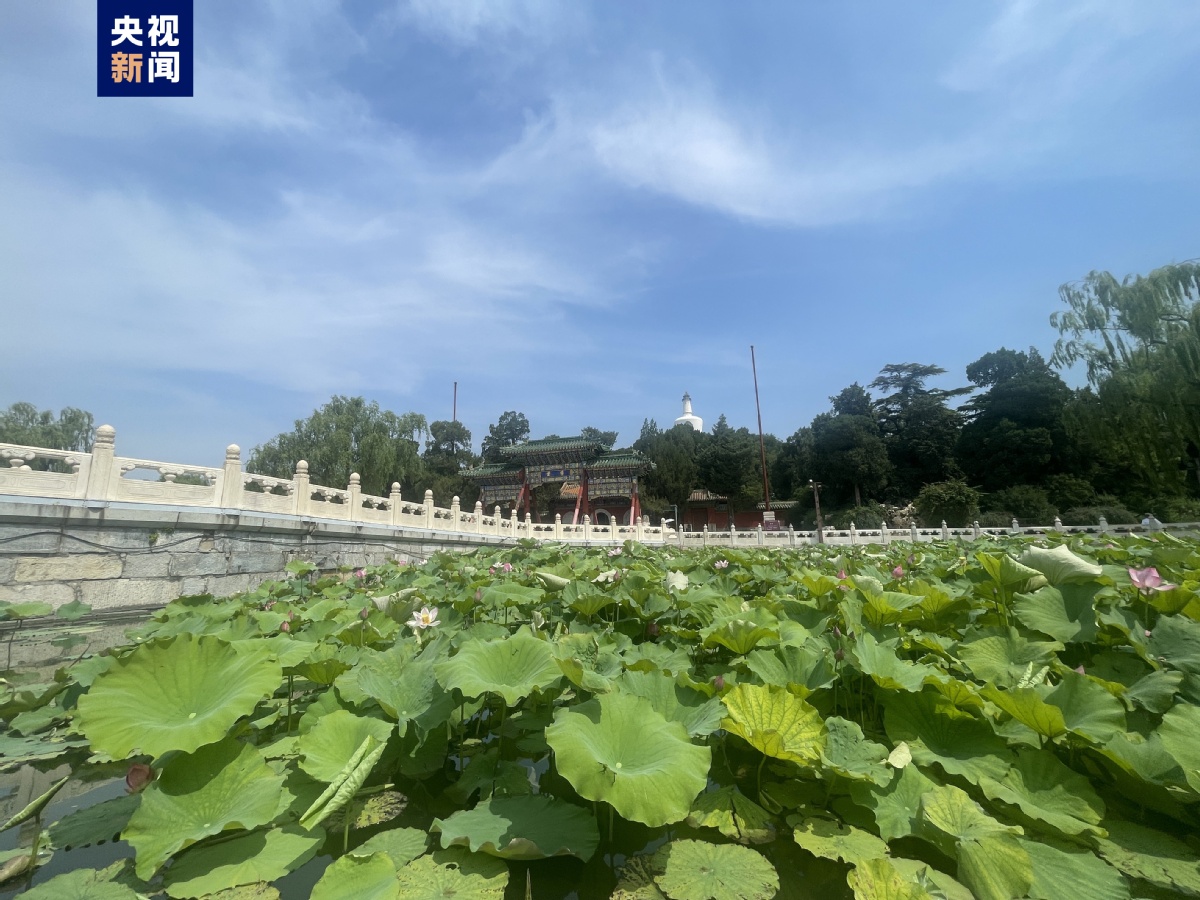 上海闵行区沪闵路美食（上海闵行沪闵路江川路美食）