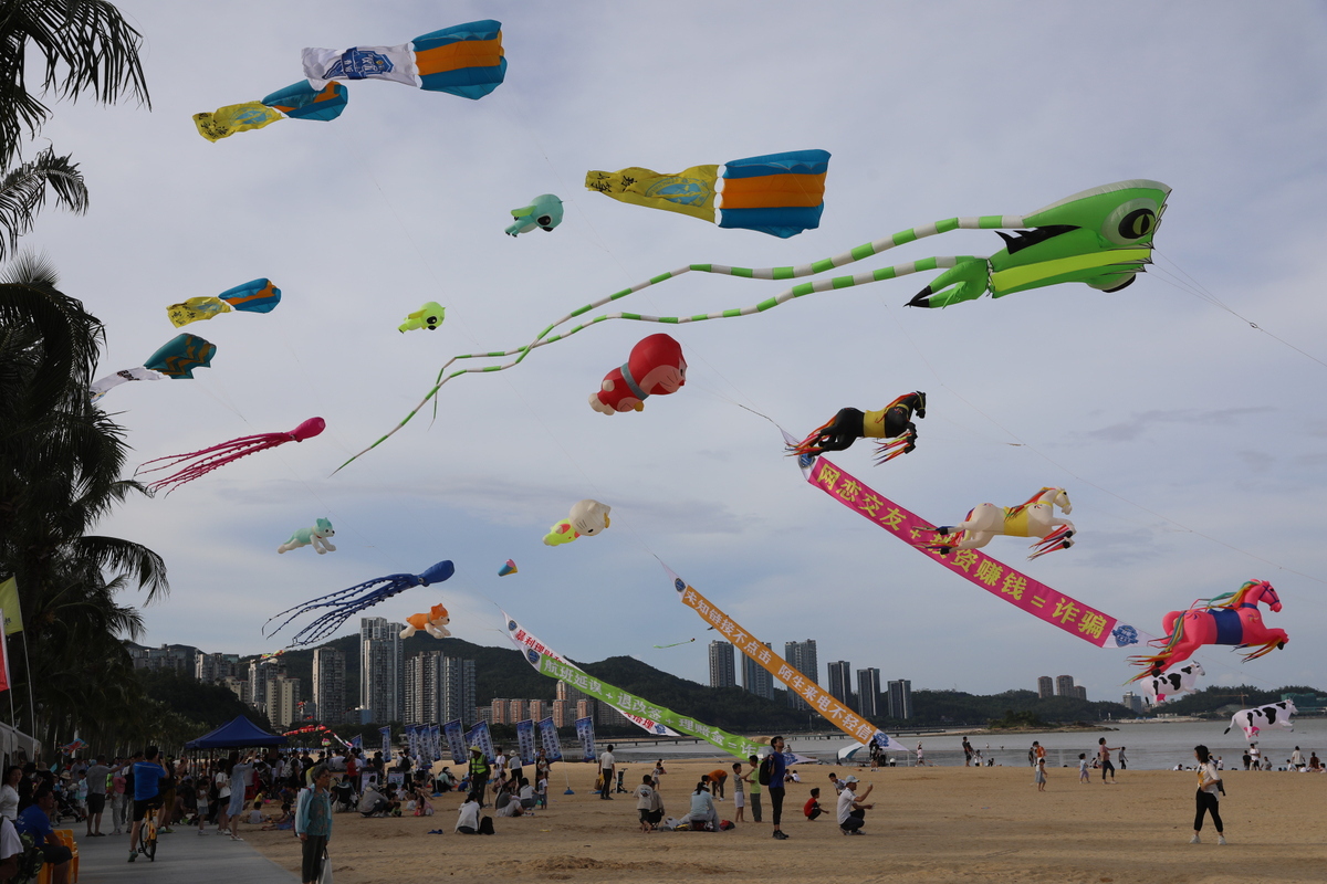 上海闵行区城管所（上海市闵行区梅陇城管）