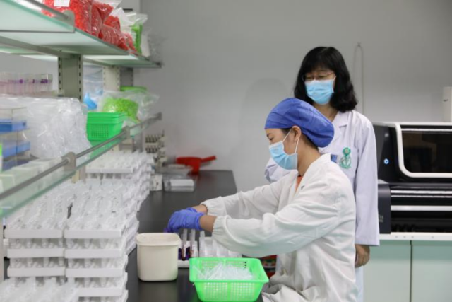 筛查实验室,工作人员在处理鼻咽癌筛查标本。 筛查实验室,工作人员在处理鼻咽癌筛查标本。