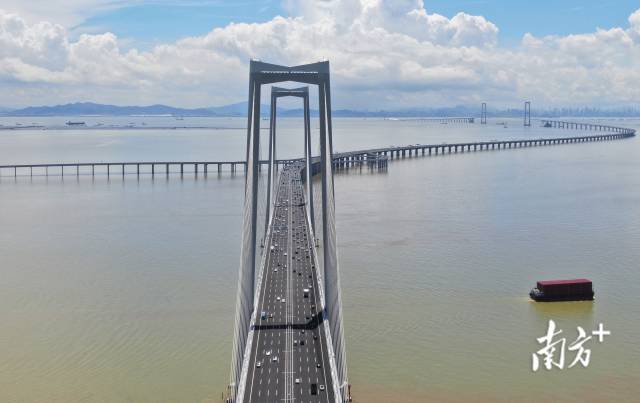 上海闵行区海鲜跑腿公司（上海闵行区跑腿代购）