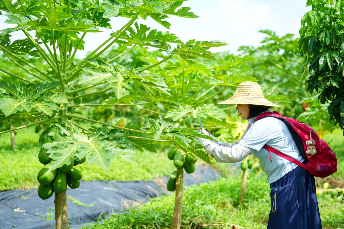 天津师范大学研究生报录比（天津师范大学21年研究生报录比）