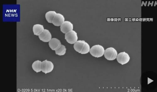 铁路最好的5个专业学校（铁路最好的5个专业）