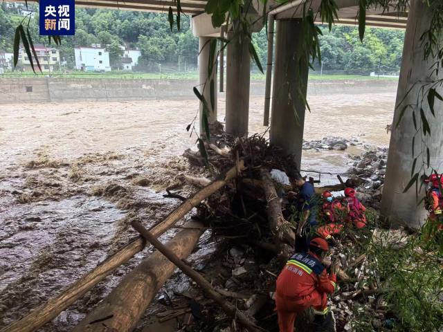 上海闵行区治安整顿（上海闵行区治安管理）