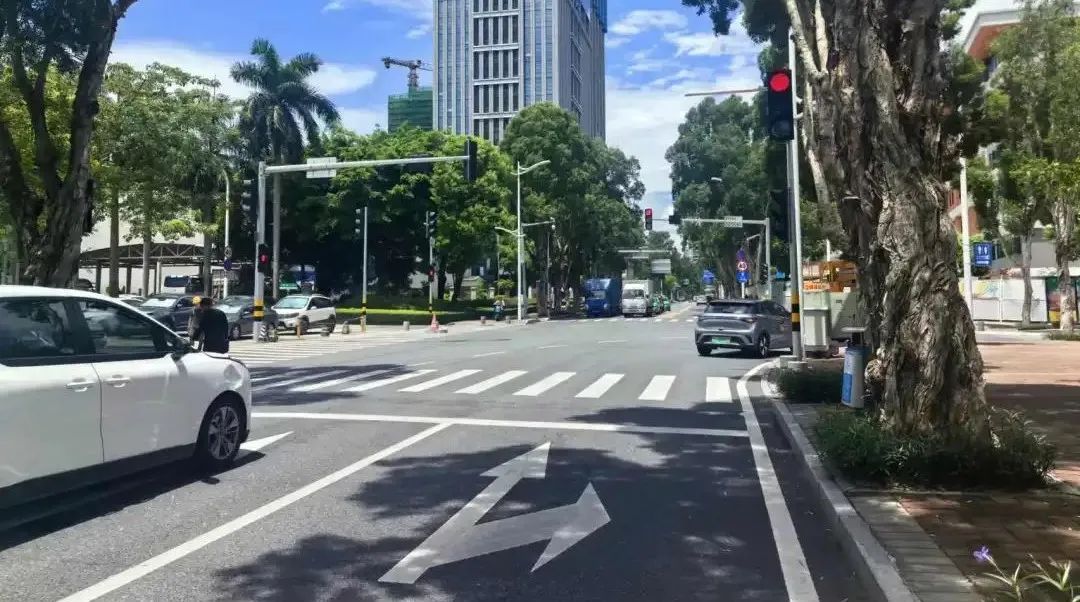 上海健康医学院几本院校（上海健康医学院是本科院校吗）