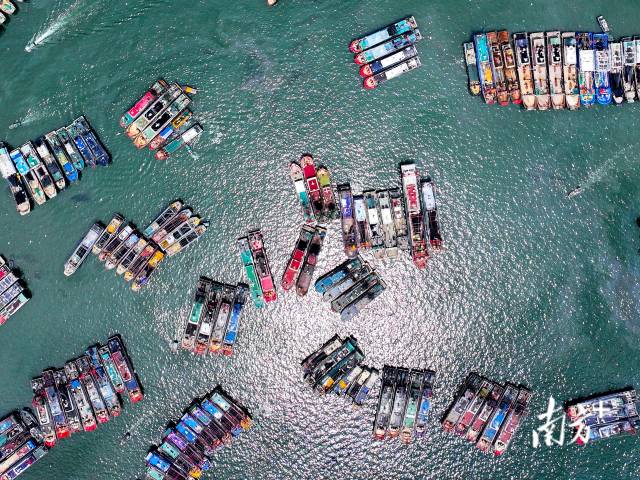 上海闵行区游泳会所（上海闵行区游泳场）