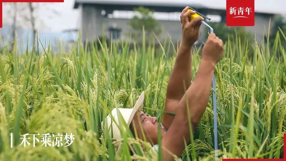 上海闵行区在哪审车（上海闵行审车地点）