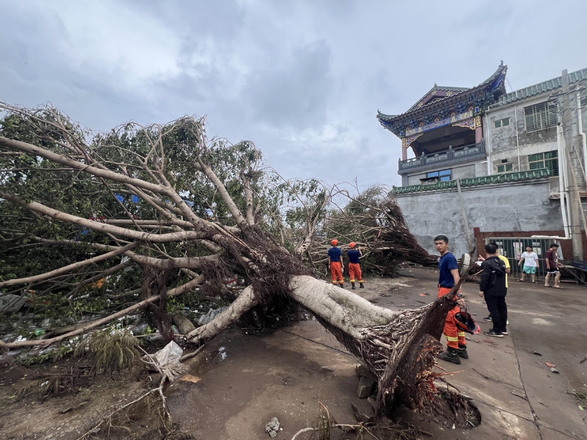 上海电视台闵行区（上海市闵行区直播）